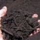 finished-compost