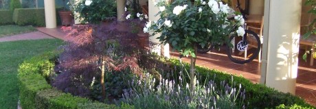 DSCF0424